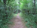 Matthaei Botanical Gardens 2010 0525